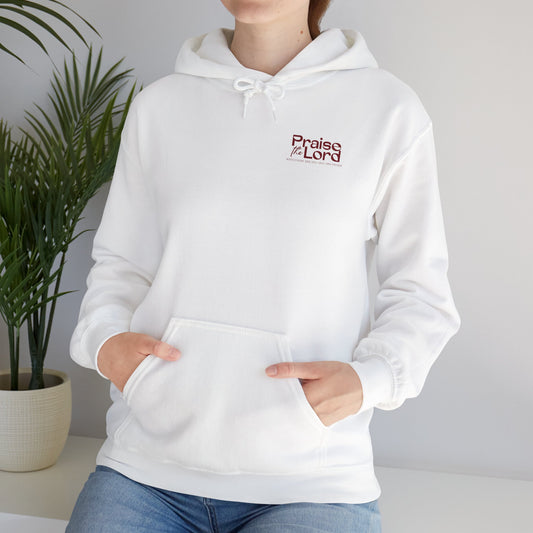 Praise the Lord Hooded Sweatshirt, Faith-Inspired Apparel, Church Sweatshirt, Christian Gift, Cozy Unisex Hoodie